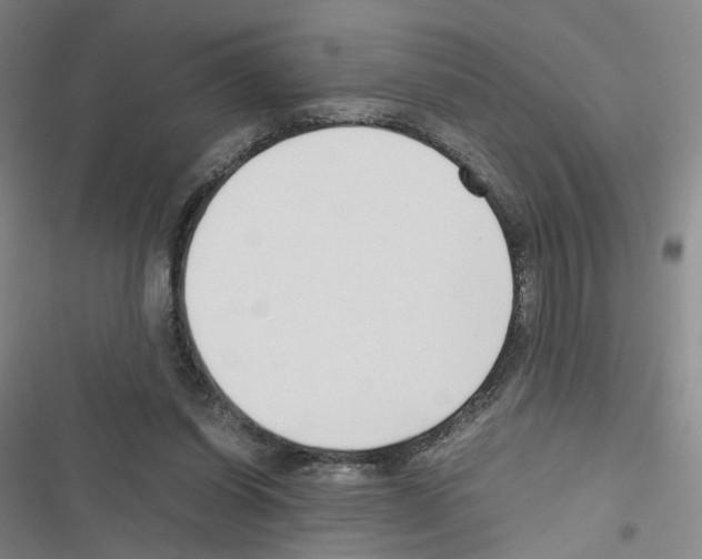 X0000116680254201001251306