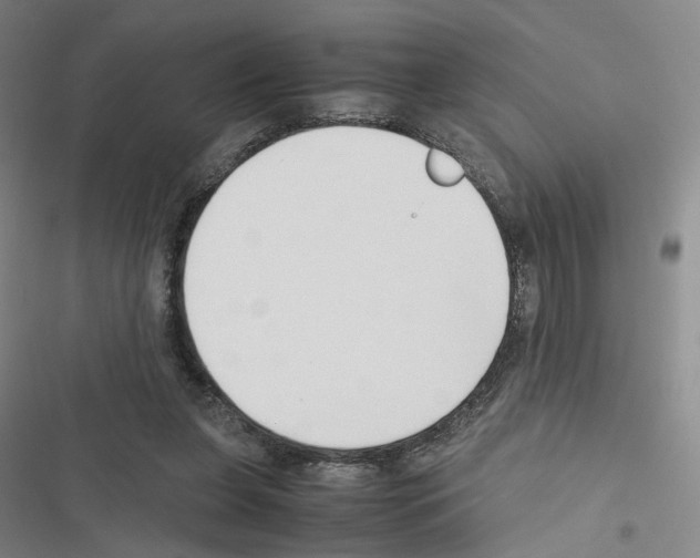 X0000116680255201001251306