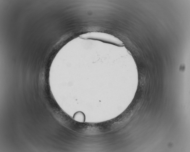 X0000116680256201001251306