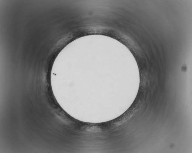 X0000116680258201001251306