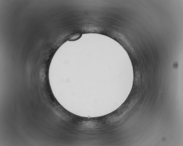 X0000116680259201001251306