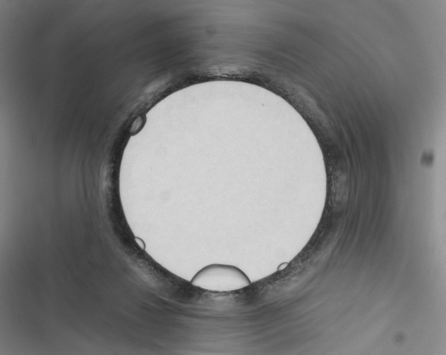 X0000116680260201001251306