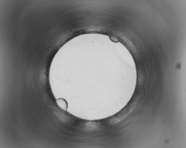 X0000116680261201001251306