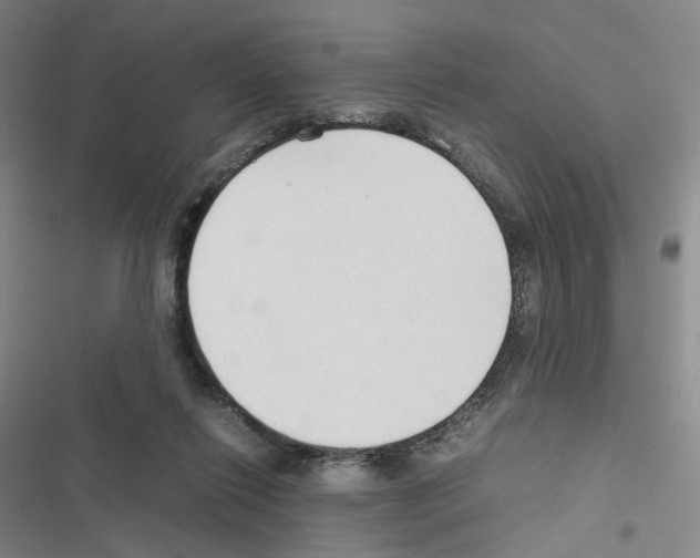 X0000116680262201001251306