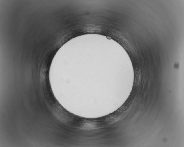 X0000116680263201001251306