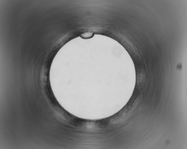 X0000116680264201001251306