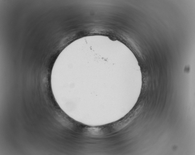 X0000116680265201001251306