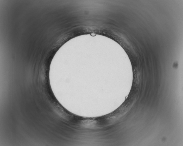 X0000116680266201001251306