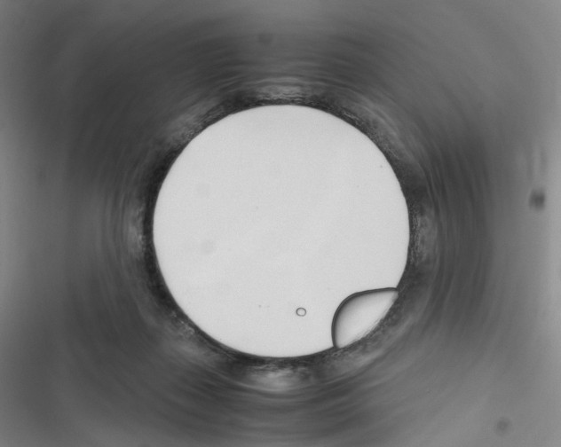 X0000116680267201001251306