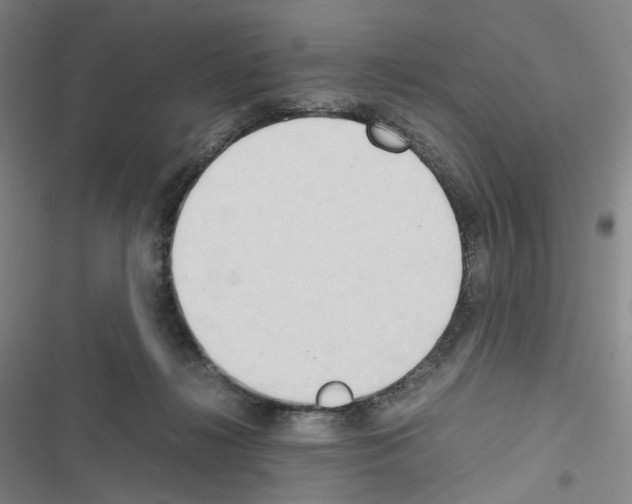 X0000116680268201001251306