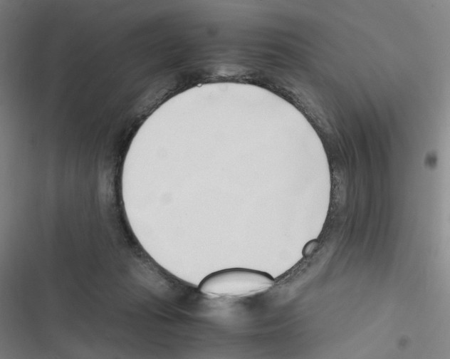 X0000116680269201001251306