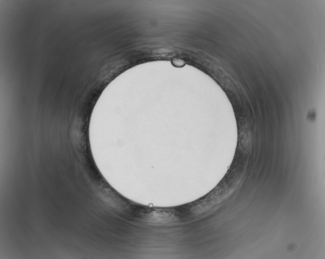 X0000116680270201001251306