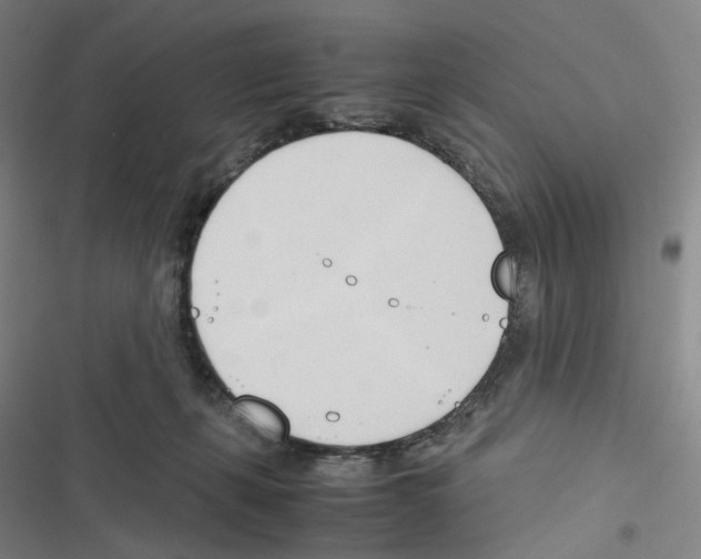 X0000116680271201001251306