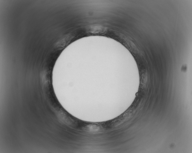 X0000116680272201001251306