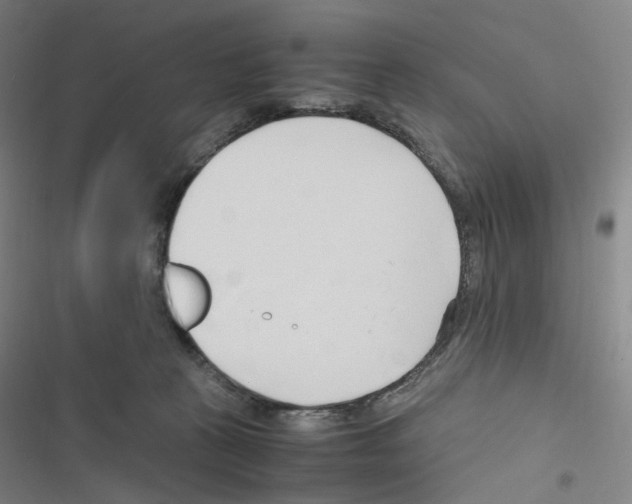 X0000116680273201001251306