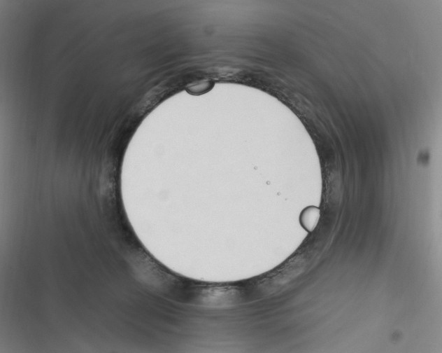 X0000116680274201001251306