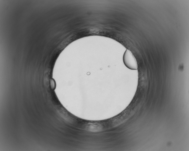 X0000116680275201001251306