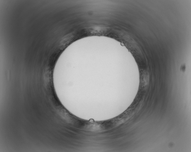 X0000116680276201001251306