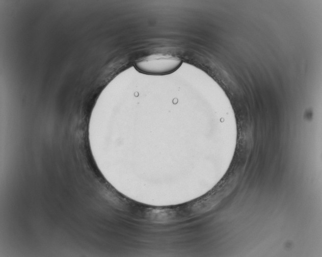 X0000116680277201001251306