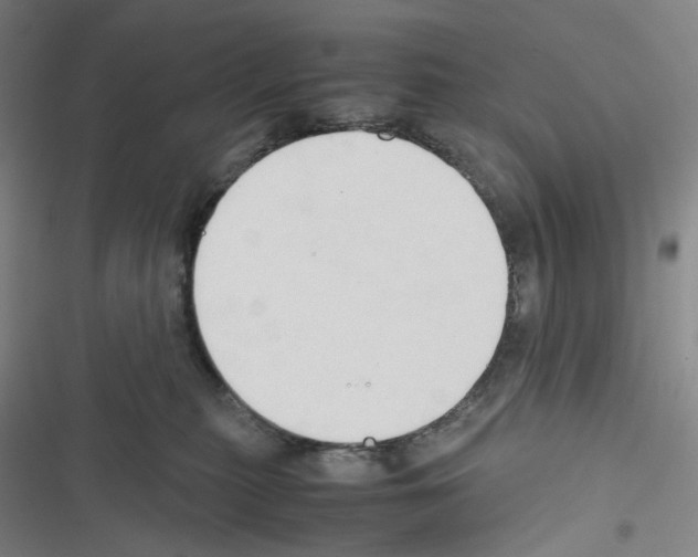 X0000116680279201001251306