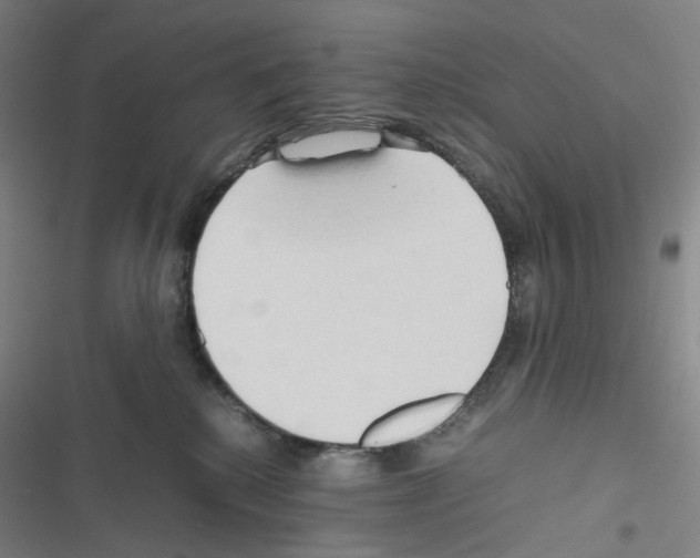 X0000116680280201001251306