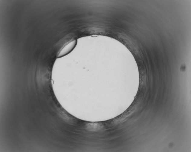 X0000116680281201001251306