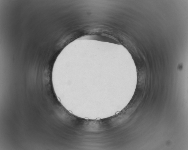 X0000116680282201001251306