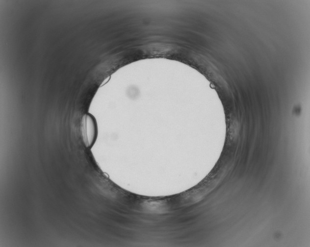 X0000116680283201001251306