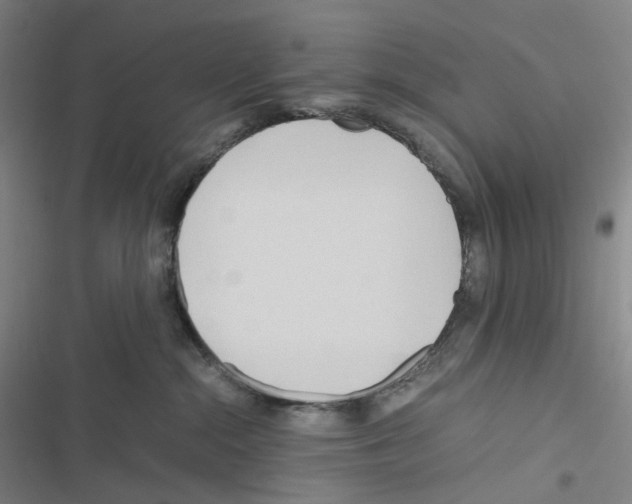 X0000116680284201001251306