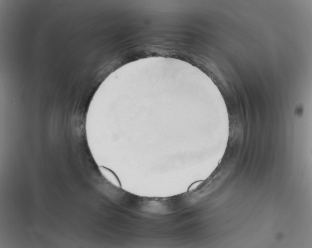 X0000116680285201001251306