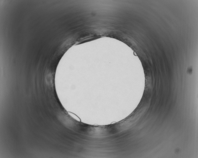 X0000116680286201001251306