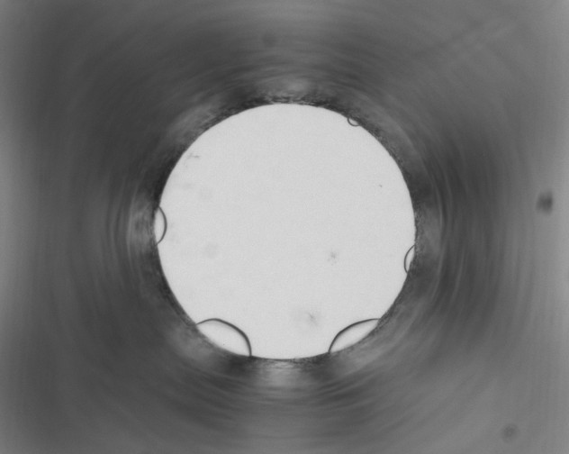 X0000116680287201001251306