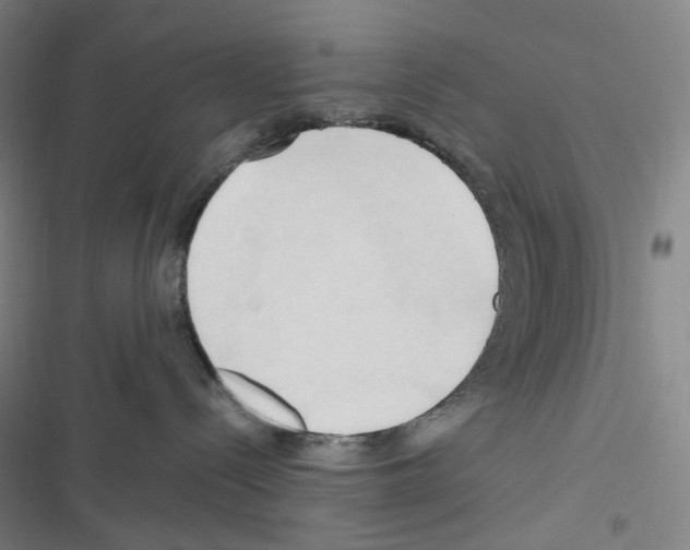 X0000116680288201001251306