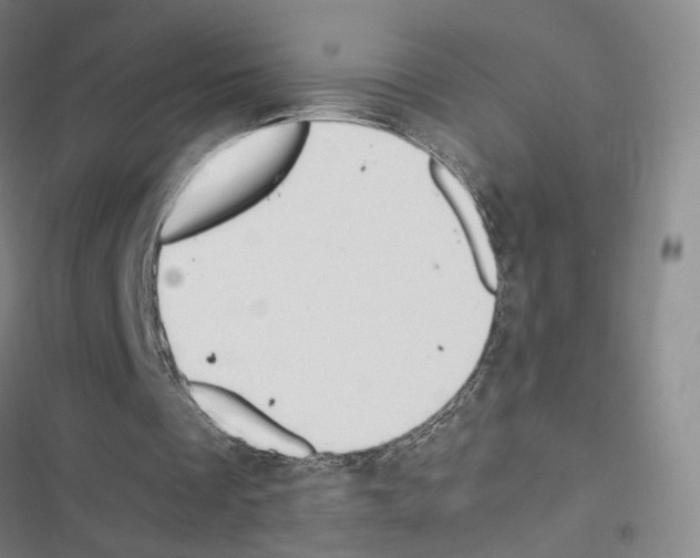 X0000116680289201001251306