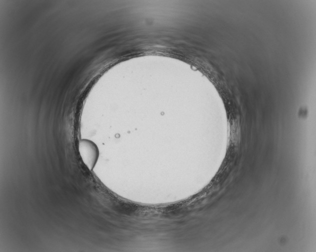 X0000116680291201001251306