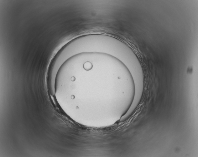 X0000116680292201001251306