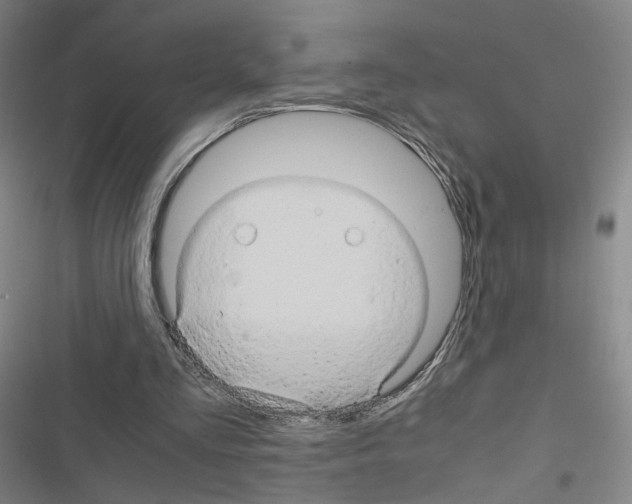 X0000116680293201001251306