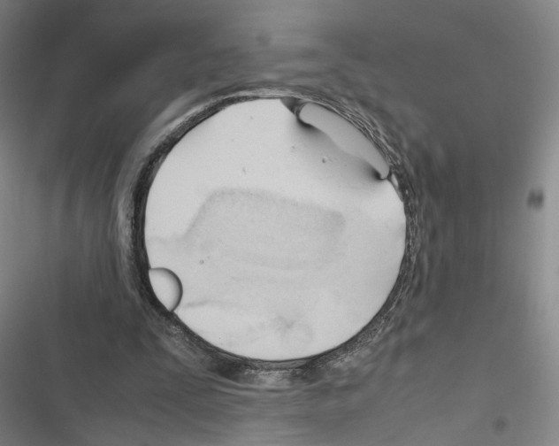 X0000116680295201001251306