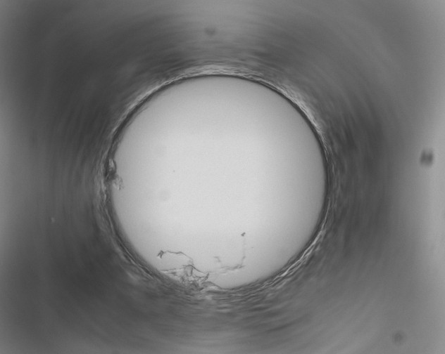 X0000116680297201001251306