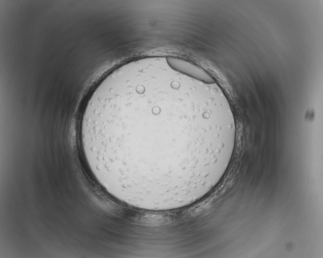 X0000116680298201001251306