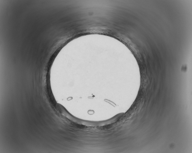 X0000116680299201001251306