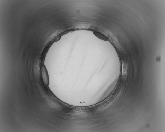 X0000116680300201001251306