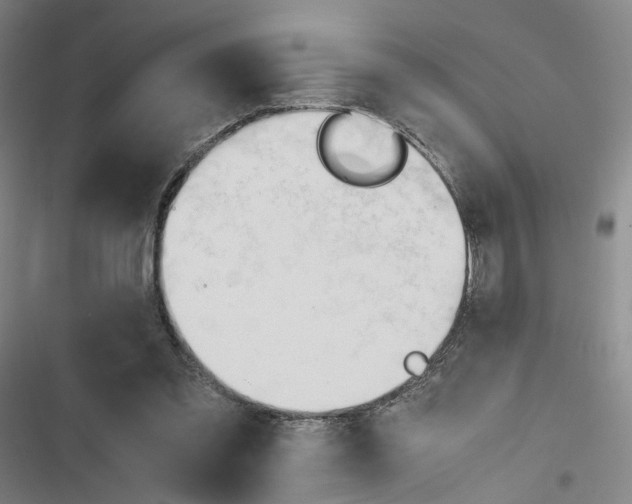 X0000116680301201001251306