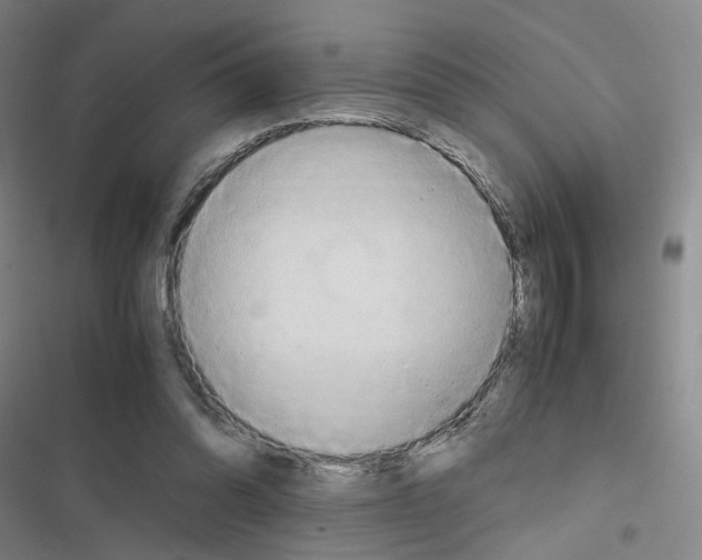 X0000116680302201001251306