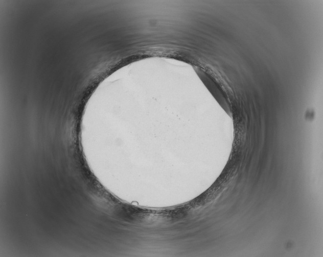 X0000116680303201001251305