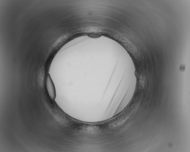 X0000116680304201001251305