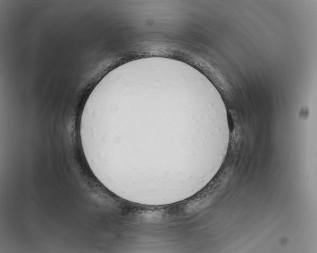 X0000116680306201001251305