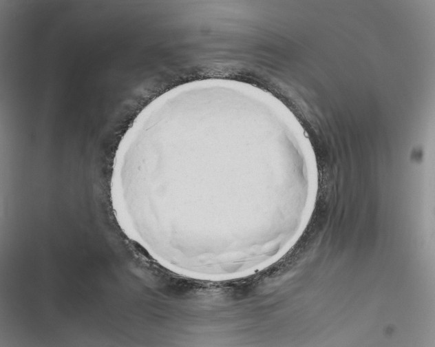 X0000116680307201001251305