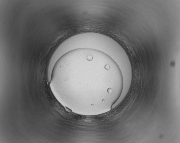 X0000116680308201001251305