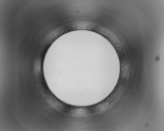 X0000116680310201001251305